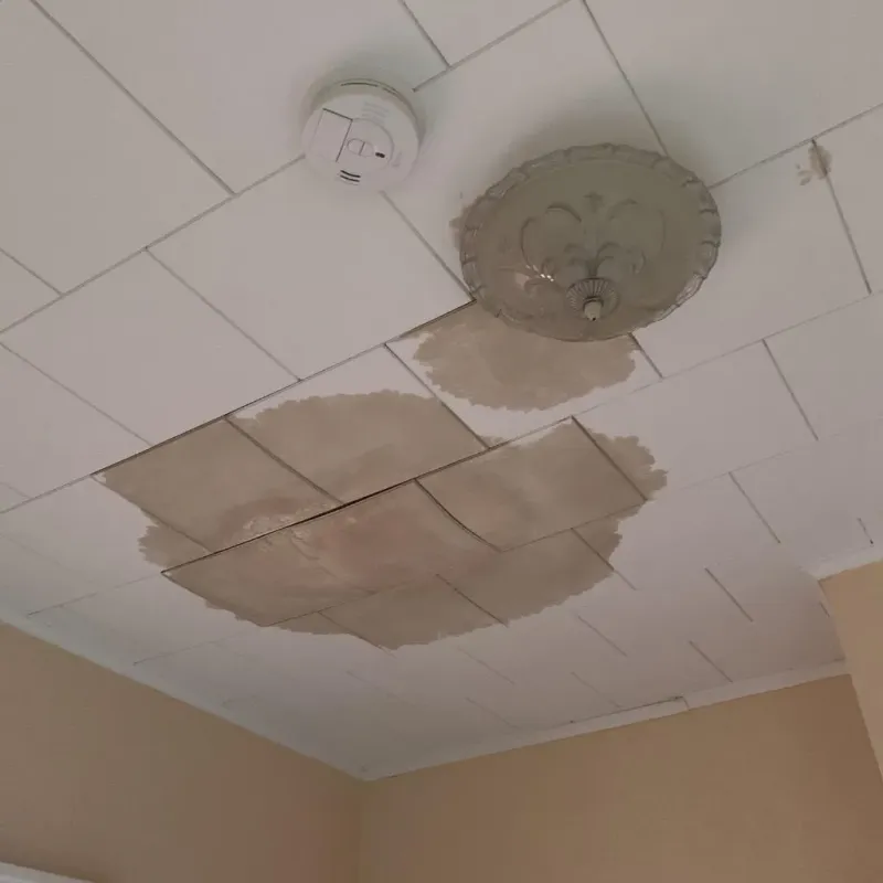 Ceiling Water Damage Repair in Ramseur, NC
