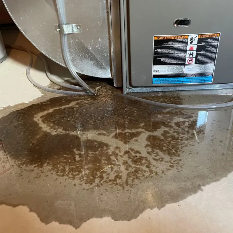Pipe Burst and Leak Restoration in Ramseur, NC