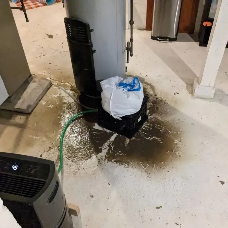 Sewage Backup Cleanup Service in Ramseur, NC